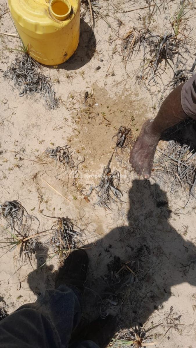 Exquisite 2-acre Beachfront Paradise, Main Spine Class E Road, Faza, Lamu, Land for Sale