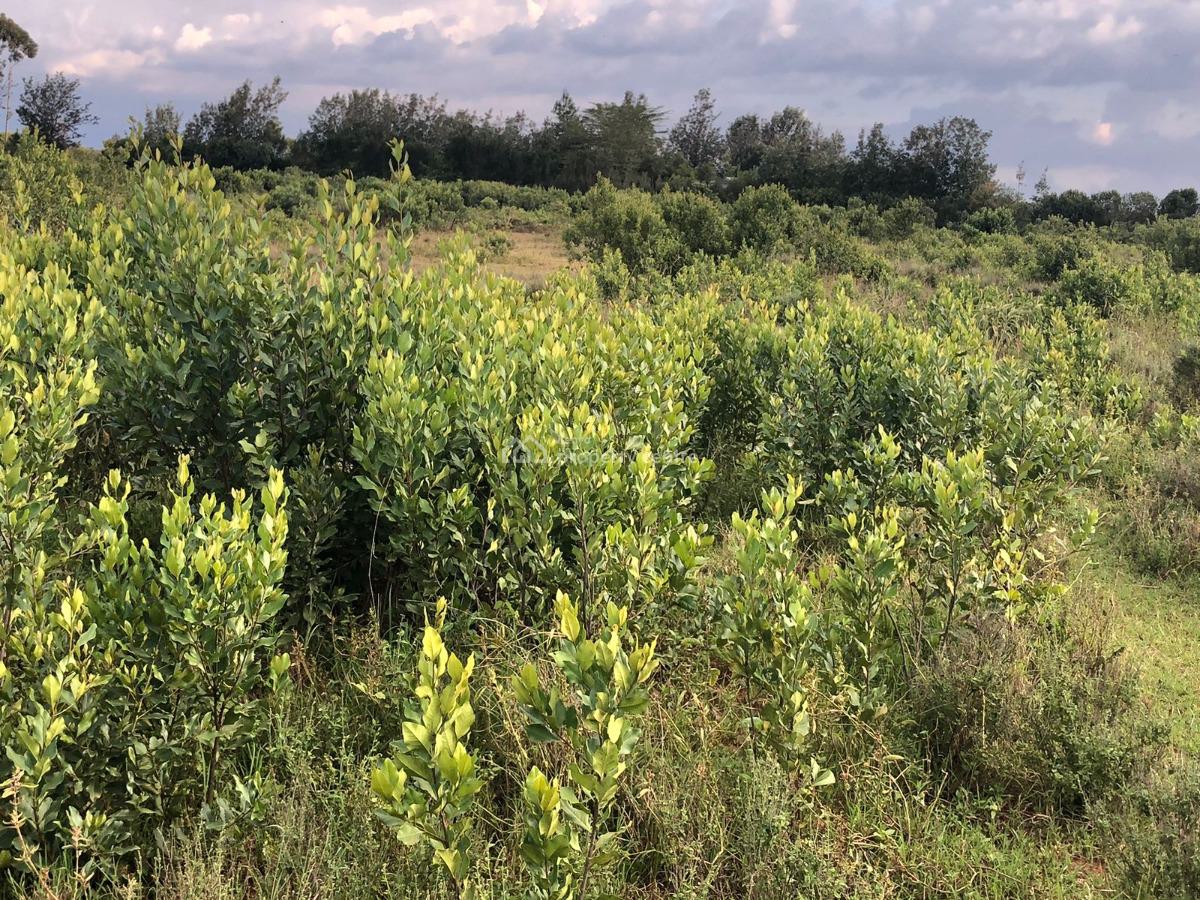 Land, Loldaiga Conservancy Area, Igwamiti, Laikipia, Mixed-use Land for Sale