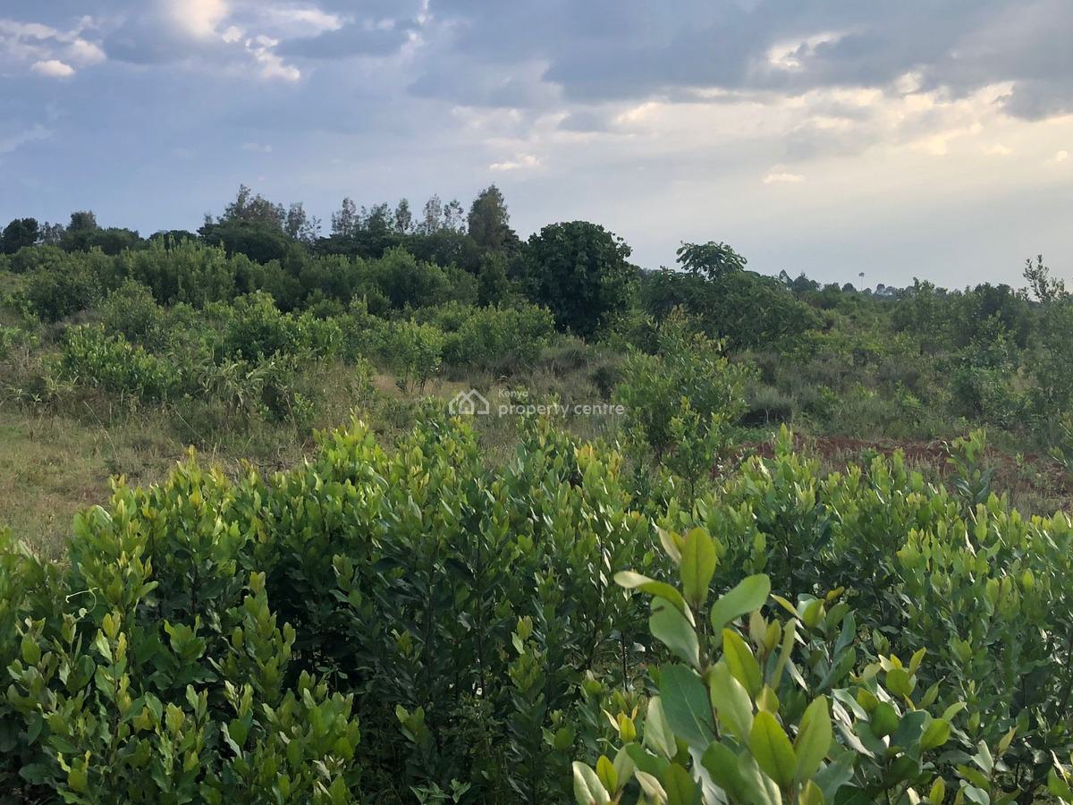 Land, Loldaiga Conservancy Area, Igwamiti, Laikipia, Mixed-use Land for Sale