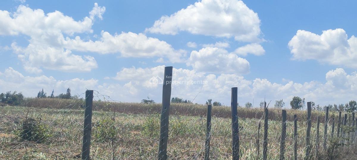 Affordable Plots, Rankau Milimani, Ongata Rongai, Kajiado, Residential Land for Sale