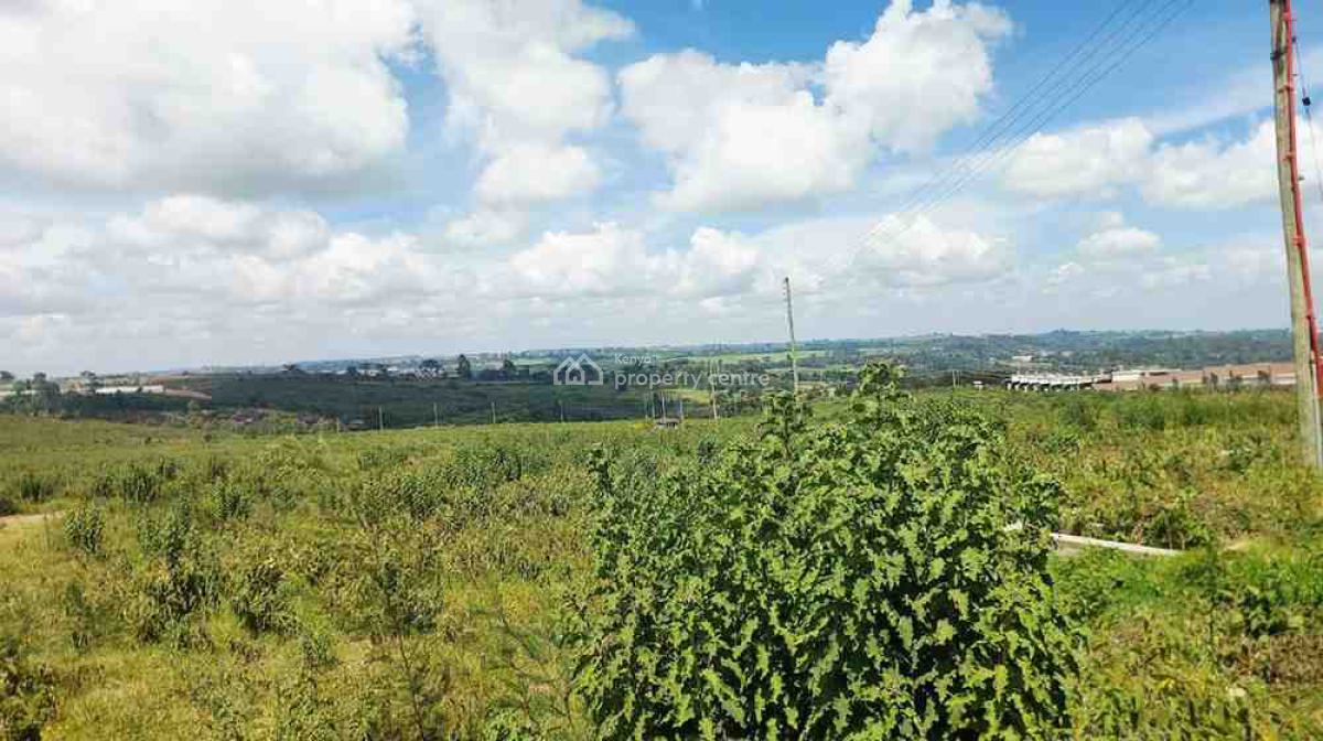 Plots in Tilisi Views, Tilisi, Limuru Central, Kiambu, Residential Land for Sale