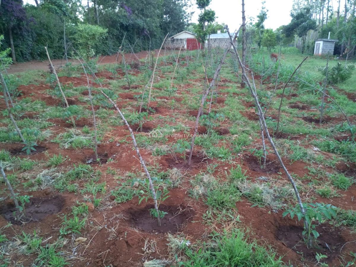 0.2 Hacre Land with House, Kiritiri Road, Central Ward, Embu, Land for Sale