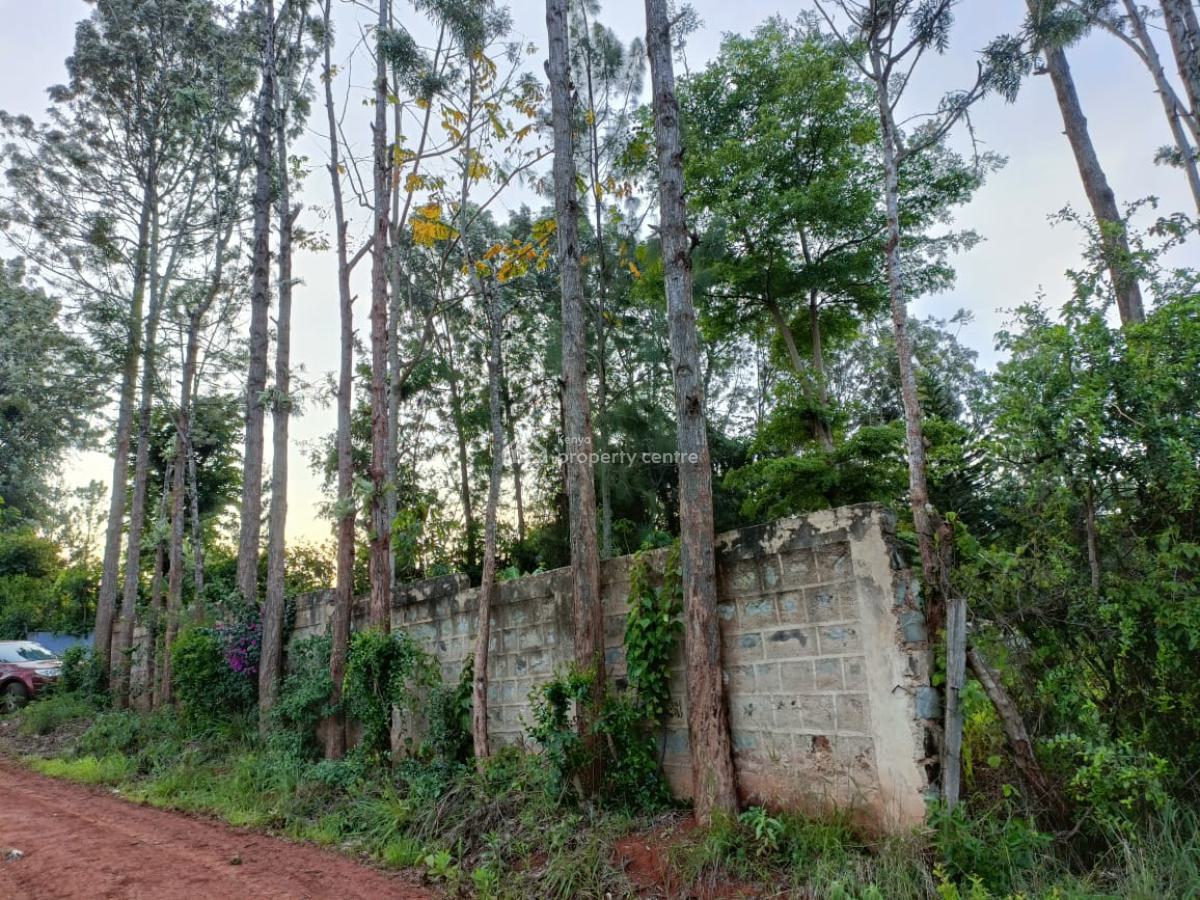 0.2 Hacre Land with House, Kiritiri Road, Central Ward, Embu, Land for Sale