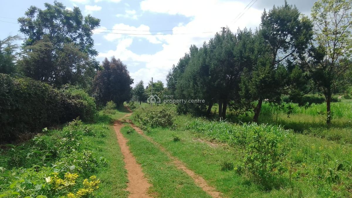 Prime Plot in Kamangu, Kamangu, Kikuyu, Kiambu, Land for Sale