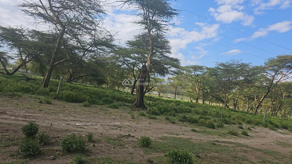 Exclusive 2-acre Investment Land, Elementeita Road, Gilgil, Nakuru, Land for Sale
