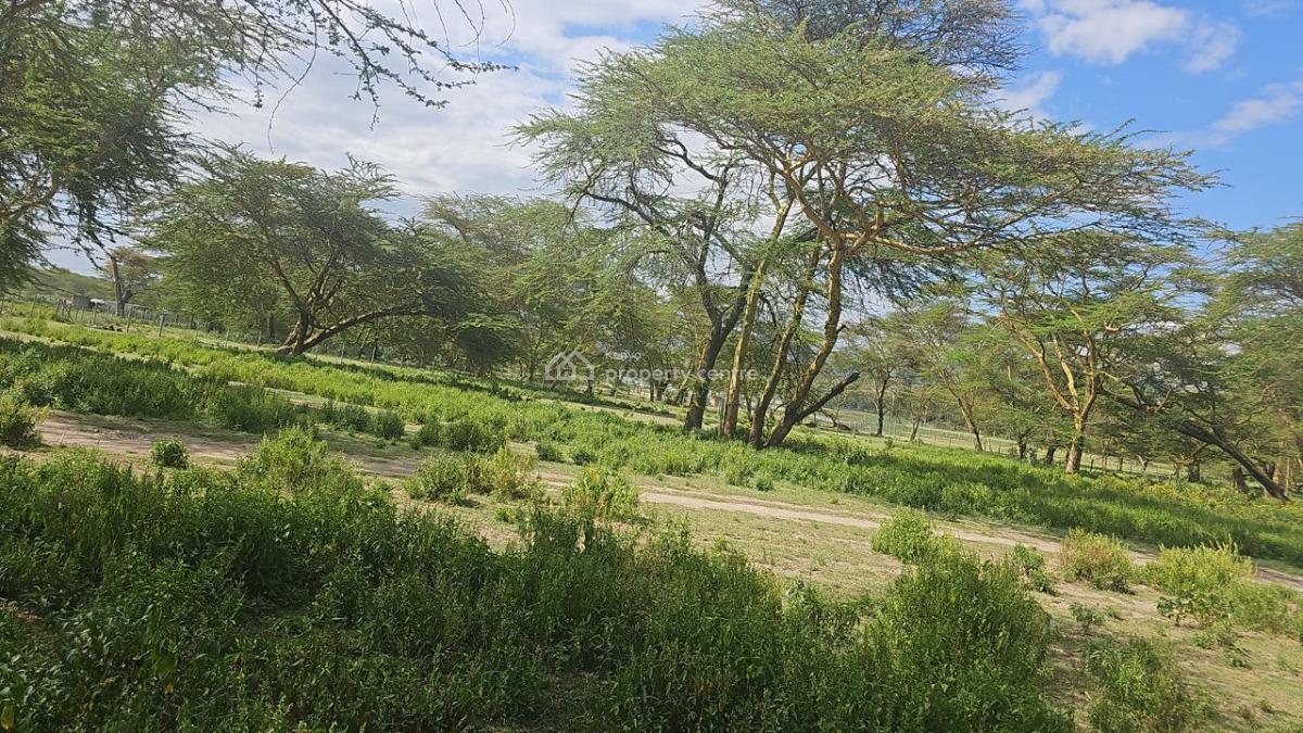 Exclusive 2-acre Investment Land, Elementeita Road, Gilgil, Nakuru, Land for Sale