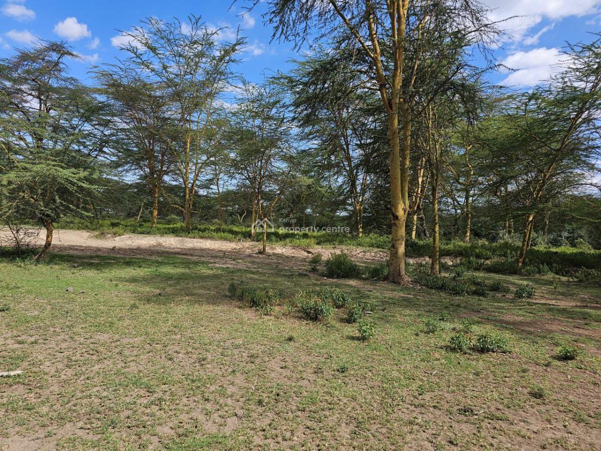 Exclusive 2-acre Investment Land, Elementeita Road, Gilgil, Nakuru, Land for Sale