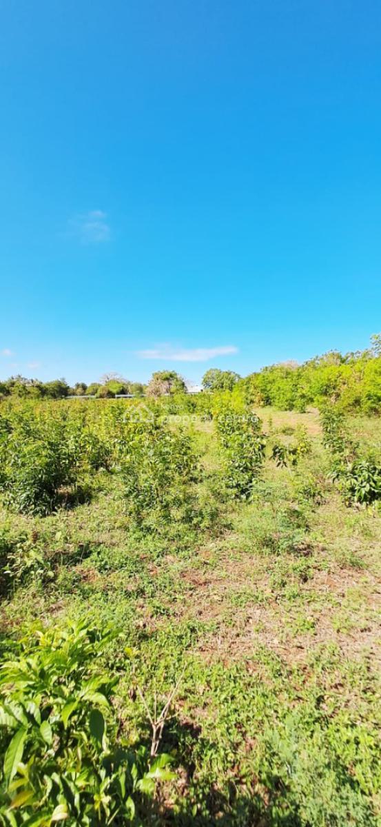 Several, 50 By 100 Residential Plots, Mtwapa, Kilifi, Land for Sale