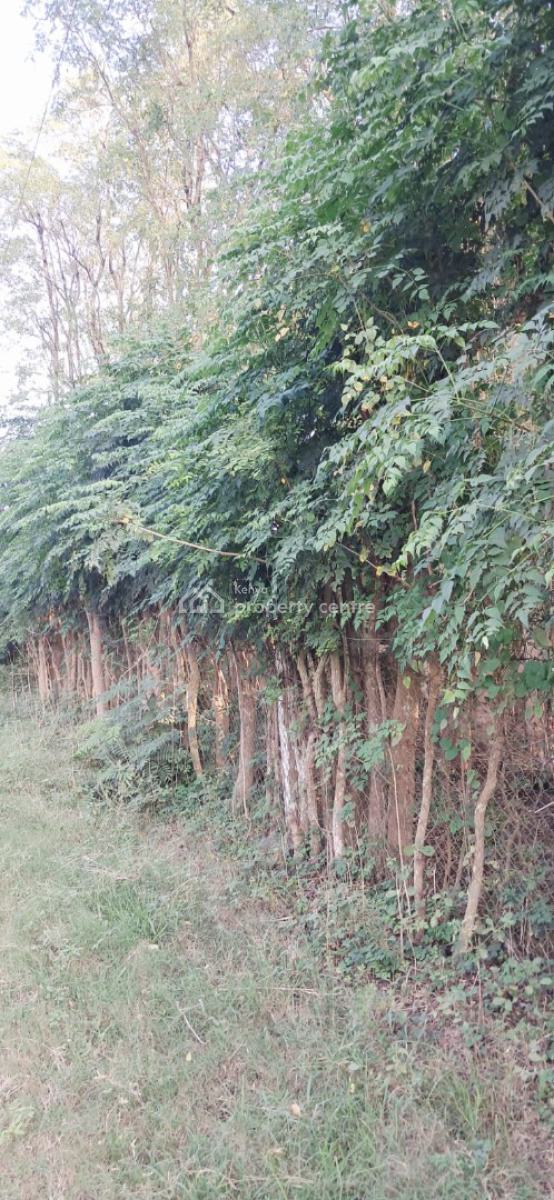 Prime Quarter Acre, Sokoni, Kilifi, Land for Sale