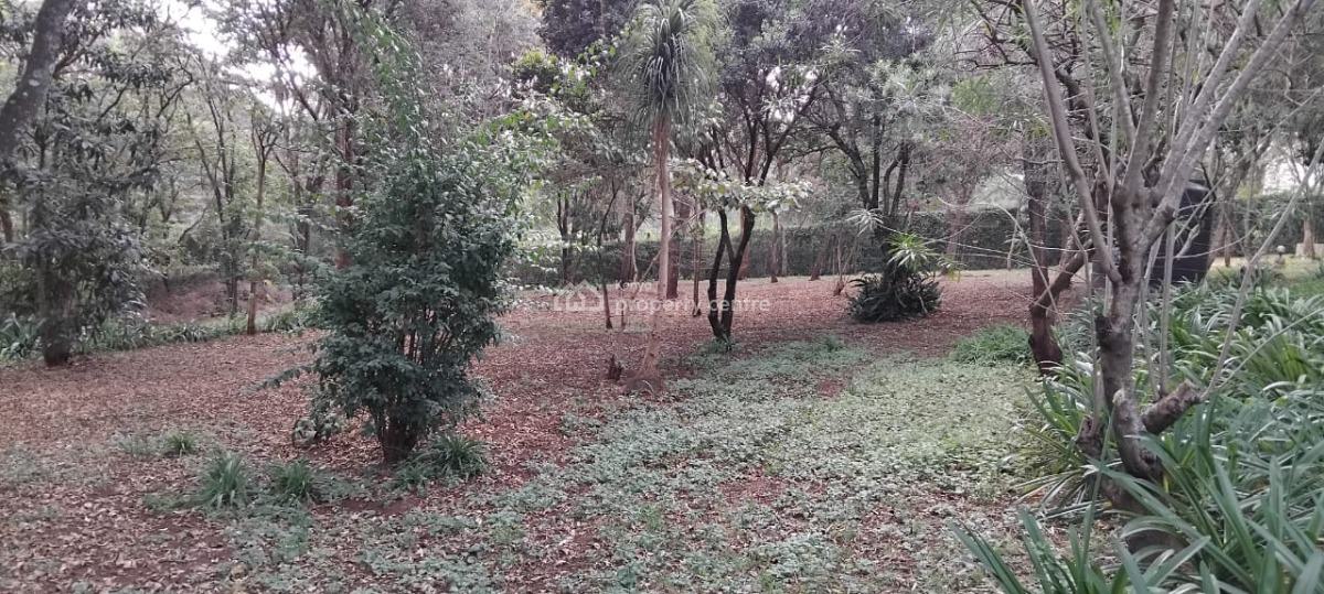 Karen Hardy Near Giraffe Centre Sitting on 1.5 Acres, This Be, Karen, Karen, Nairobi, Mixed-use Land for Sale