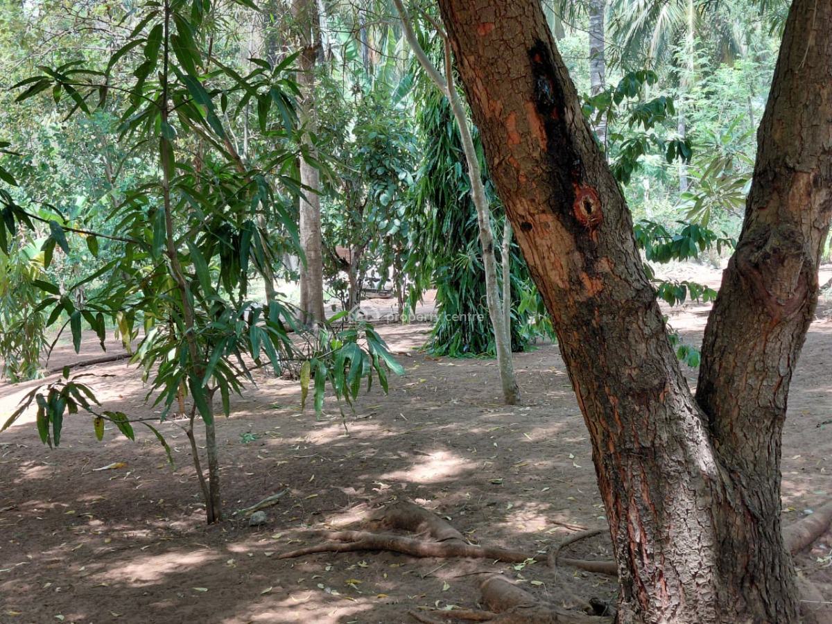 1 Acre in Watamu 6bedrooms Asking Price 18m Contact 0718920450, Watamu Kilifi, Watamu, Kilifi, Mixed-use Land for Sale