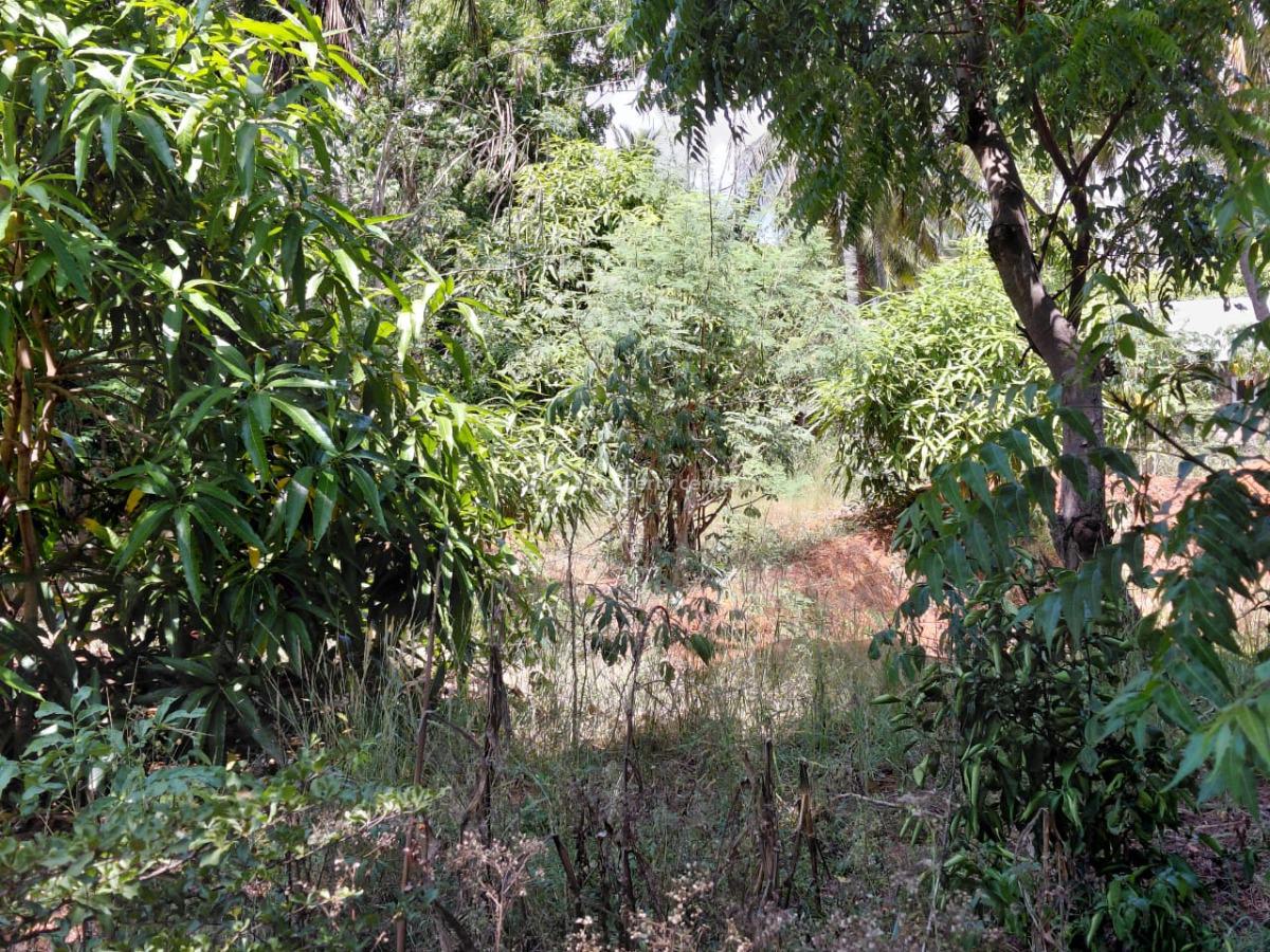 1 Acre in Watamu 6bedrooms Asking Price 18m Contact 0718920450, Watamu Kilifi, Watamu, Kilifi, Mixed-use Land for Sale