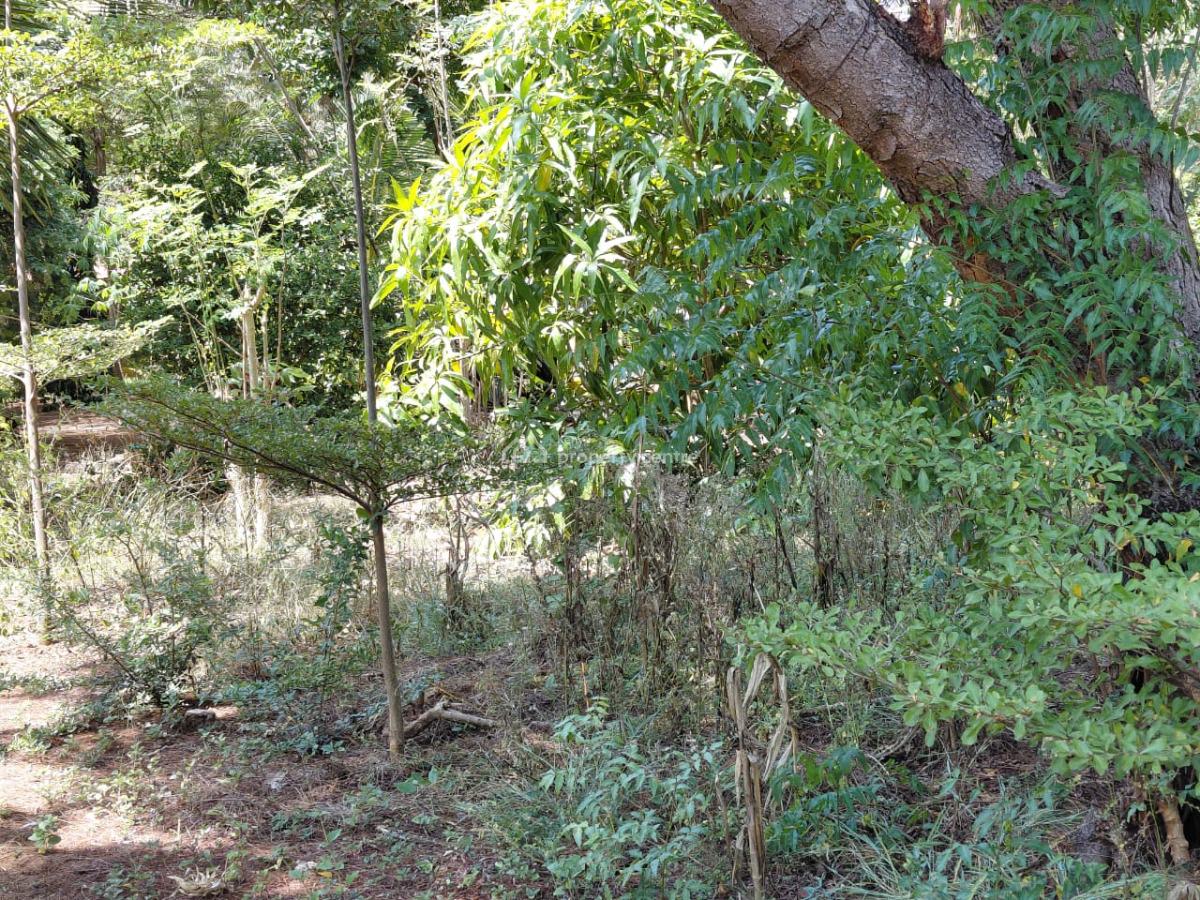 1 Acre in Watamu 6bedrooms Asking Price 18m Contact 0718920450, Watamu Kilifi, Watamu, Kilifi, Mixed-use Land for Sale