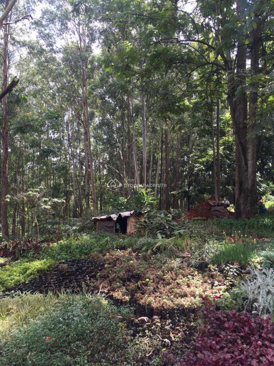 Prime 3 Acres Land with Stone Perimeter Touching Tarmac in Muthaiga., Muthaiga, Nairobi, Land for Sale