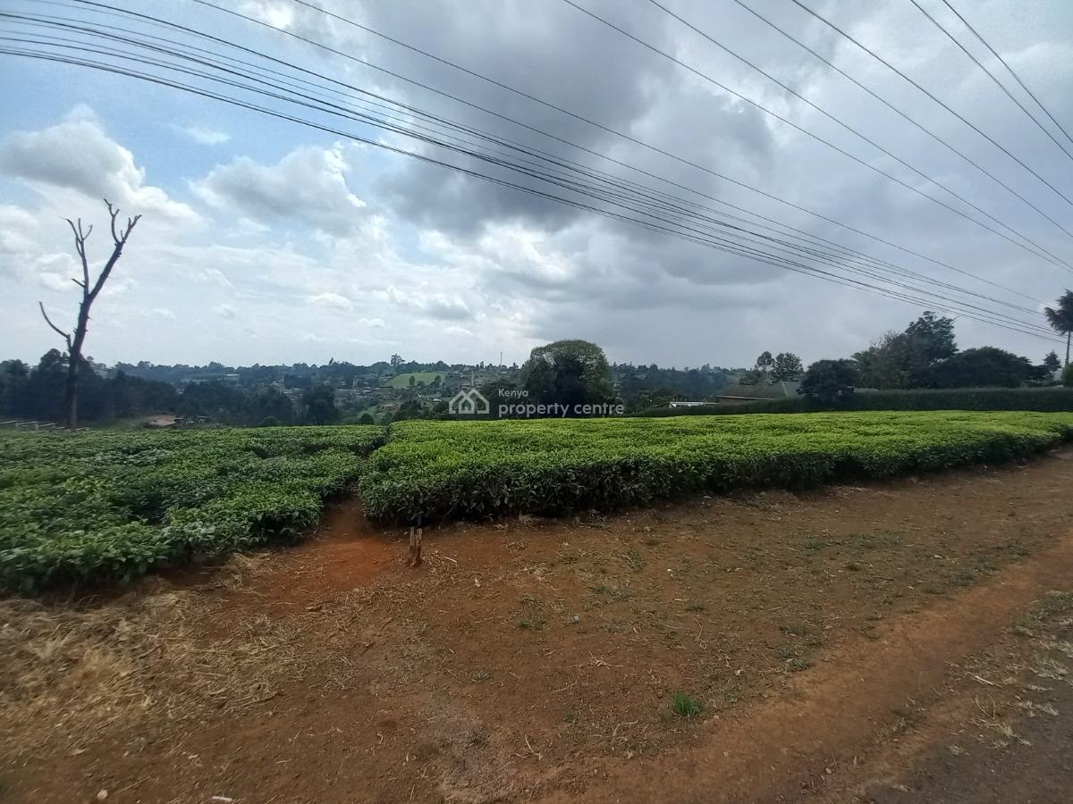 a Very Prime 9.5 Acres with Tea Leaves Plantation, Githunguri, Kiambu, Land for Sale