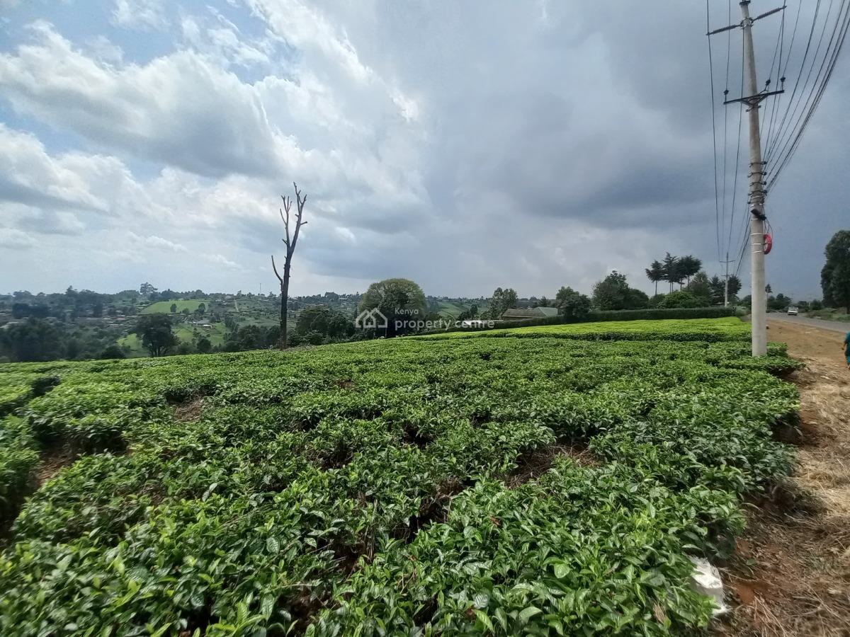 a Very Prime 9.5 Acres with Tea Leaves Plantation, Githunguri, Kiambu, Land for Sale