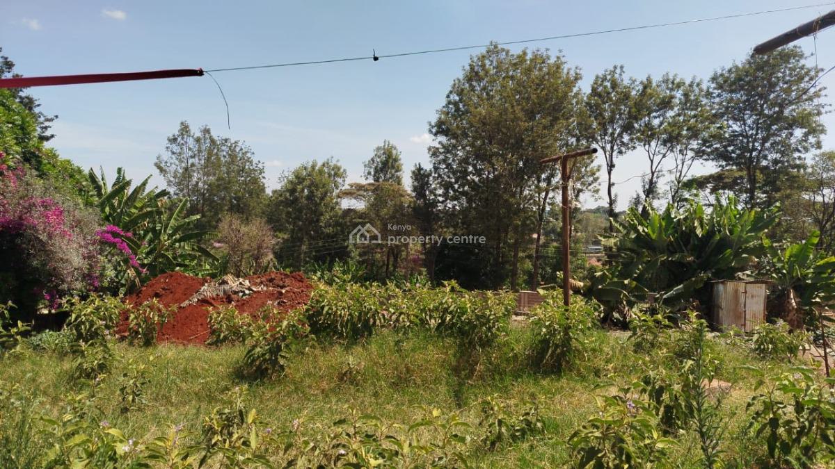 Prime One Acre Land, Tree Lane, Karen, Nairobi, Land for Sale