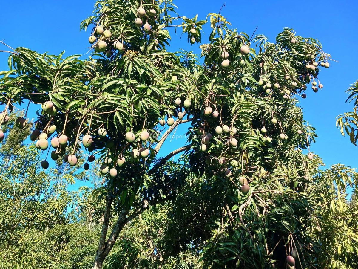 Makuyu, Muranga, Makuyu, Murang’a, Makuyu, Muranga, Commercial Land for Sale