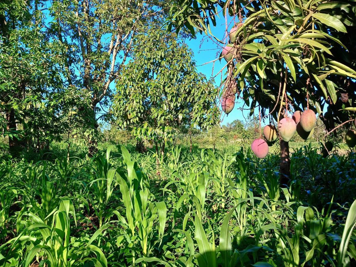 Makuyu, Muranga, Makuyu, Murang’a, Makuyu, Muranga, Commercial Land for Sale