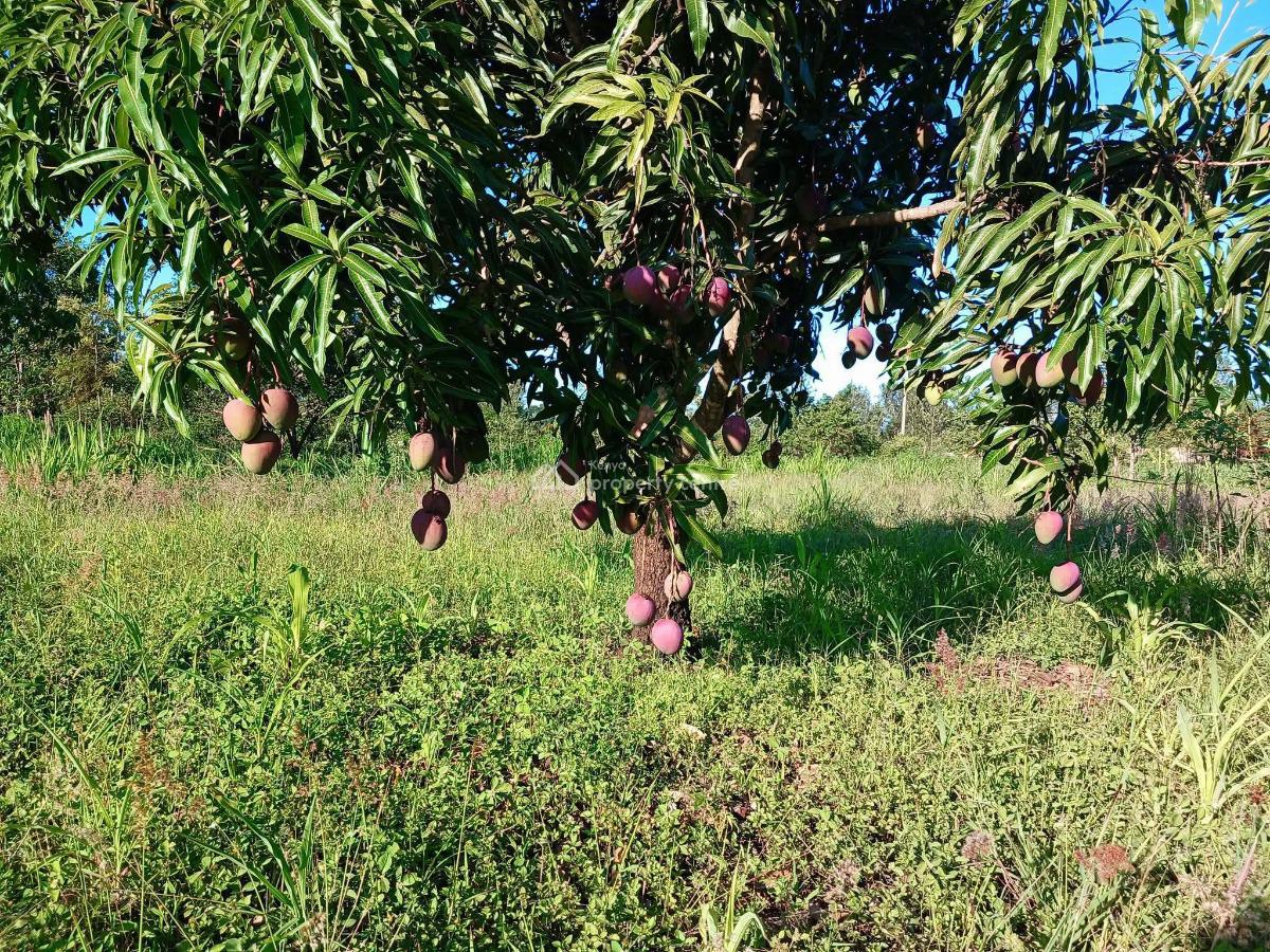 Makuyu, Muranga, Makuyu, Murang’a, Makuyu, Muranga, Commercial Land for Sale