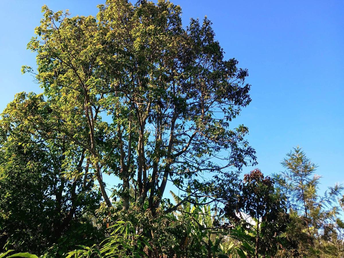 Makuyu, Muranga, Makuyu, Murang’a, Makuyu, Muranga, Commercial Land for Sale