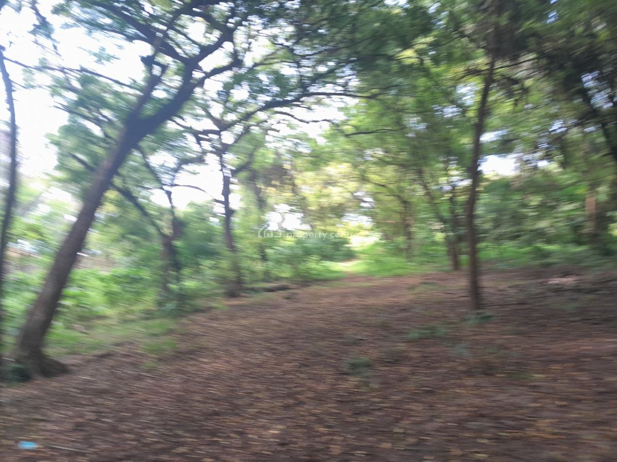 2.8 Acres Beach Property, Greenwood Along Bondeni Road in Mombasa-nyal, Nyali, Nyali, Mombasa, Mixed-use Land for Sale