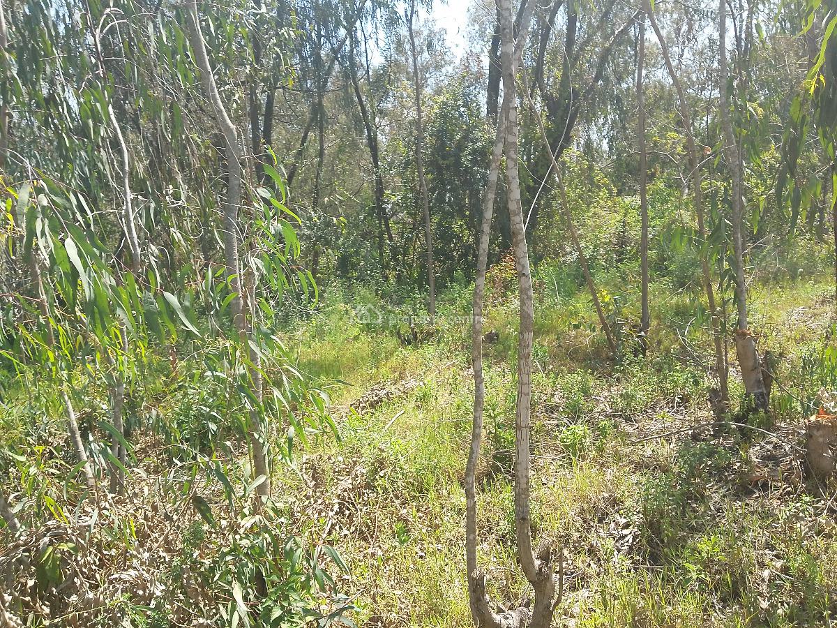 Half Acre Land, Karen Langata Road, Karen, Nairobi, Residential Land for Sale