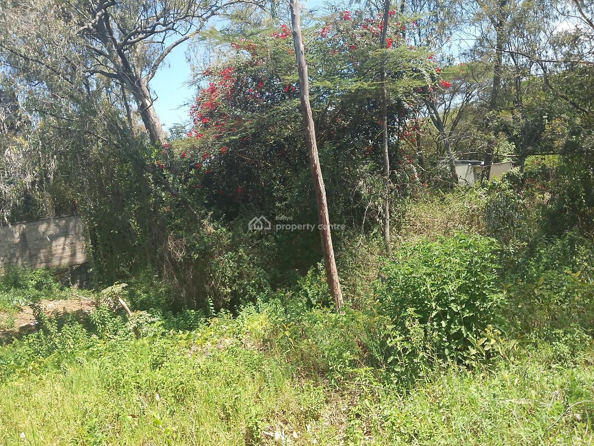 Half Acre Land, Karen Langata Road, Karen, Nairobi, Residential Land for Sale