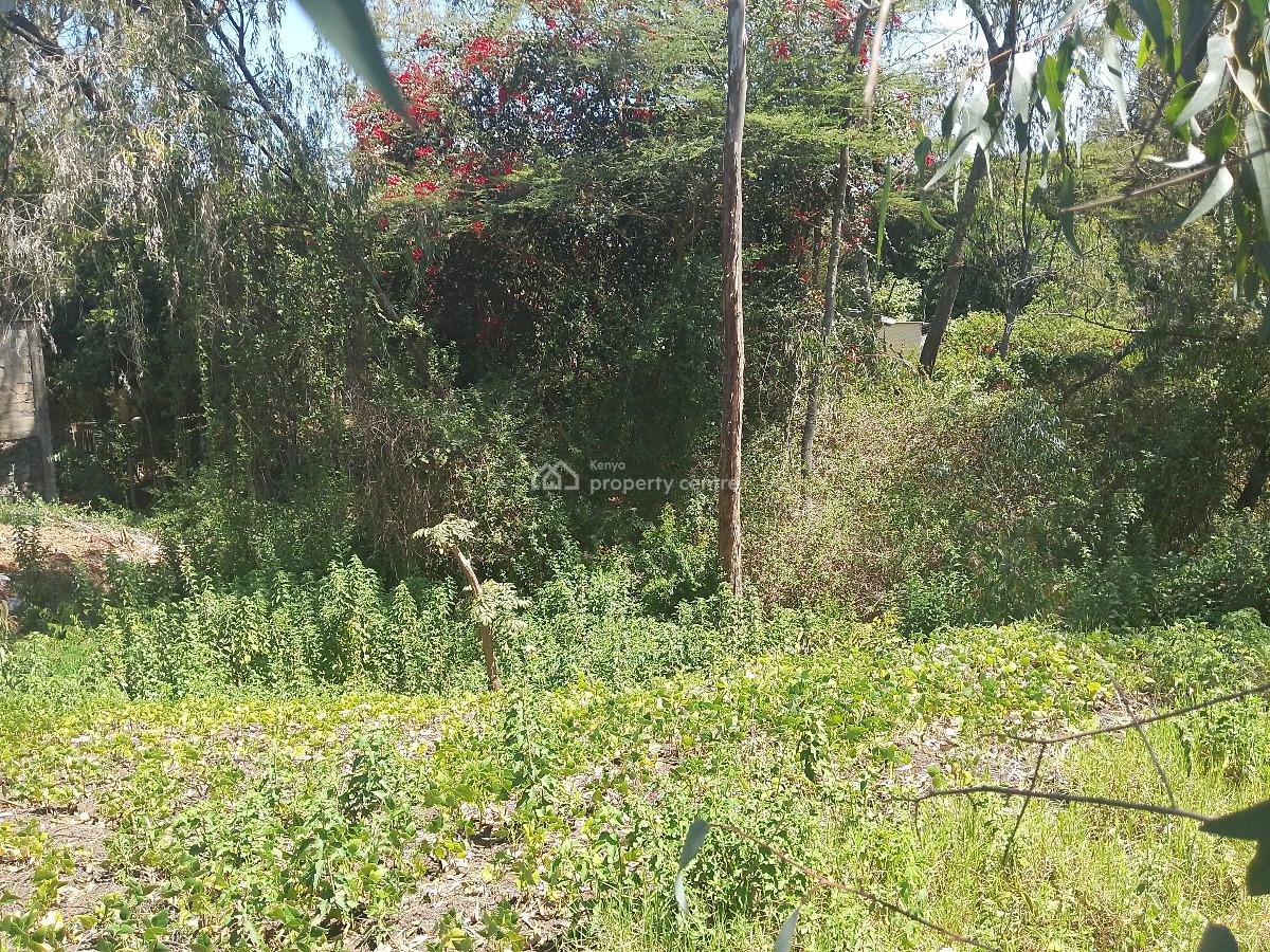 Half Acre Land, Karen Langata Road, Karen, Nairobi, Residential Land for Sale