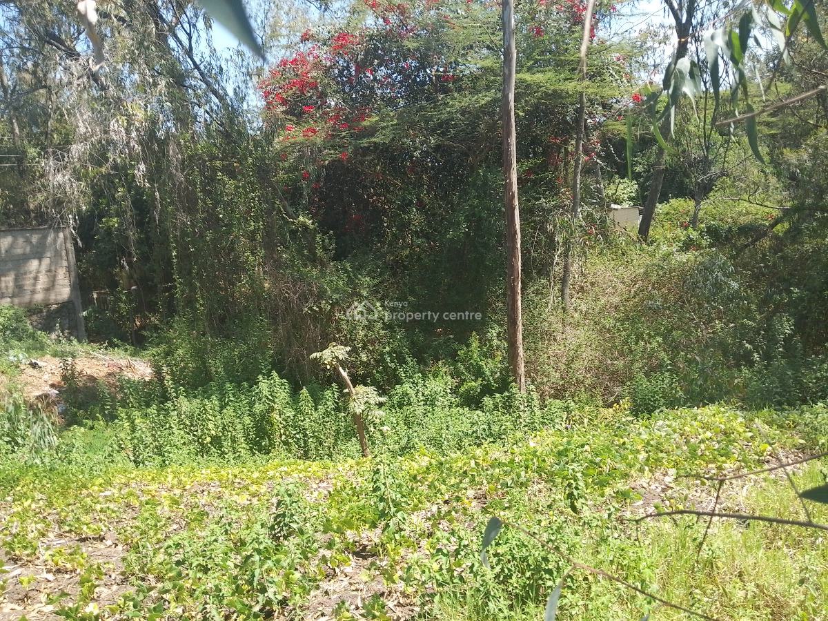 Half Acre Land, Karen Langata Road, Karen, Nairobi, Residential Land for Sale