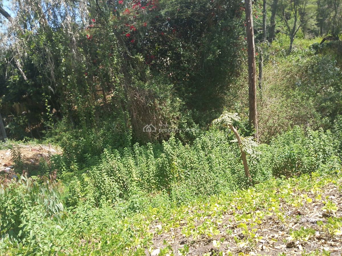 Half Acre Land, Karen Langata Road, Karen, Nairobi, Residential Land for Sale