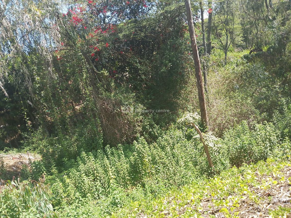 Half Acre Land, Karen Langata Road, Karen, Nairobi, Residential Land for Sale