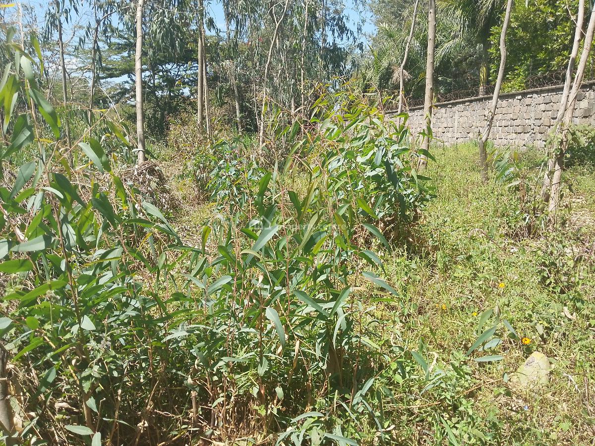 Half Acre Land, Karen Langata Road, Karen, Nairobi, Residential Land for Sale