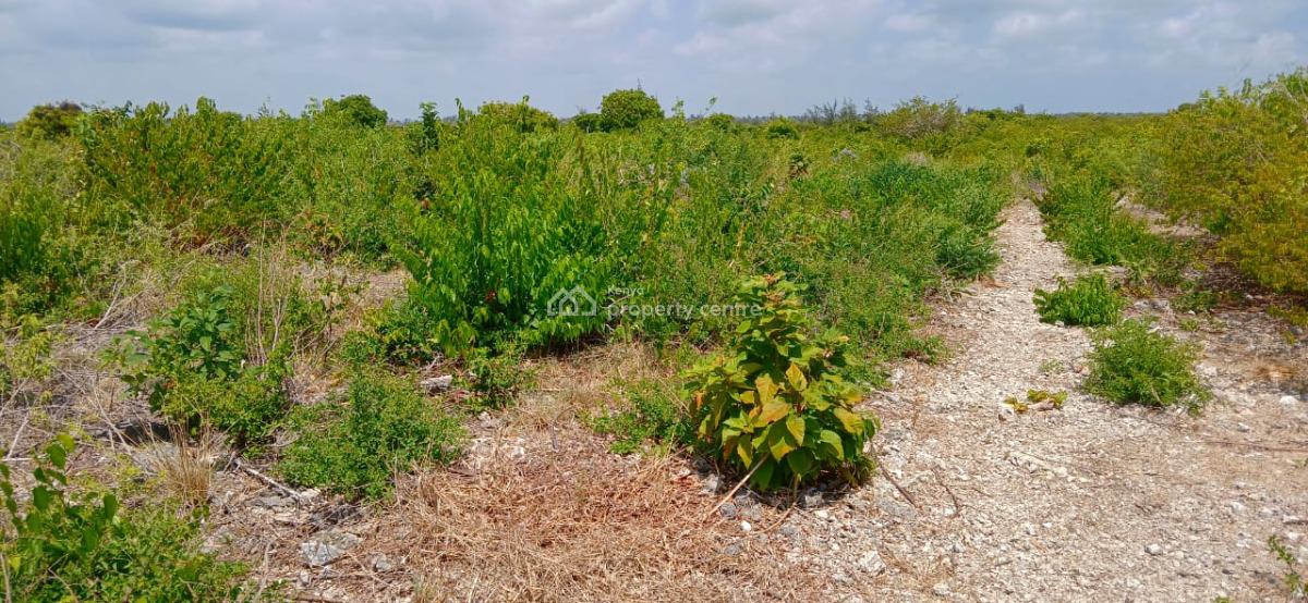 12 Acres Asking Price per Acre, Watamu, Kilifi, Mixed-use Land for Sale