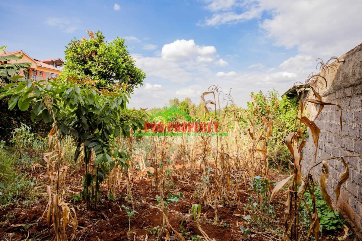Prime Commercial Plot, Thogoto, Kikuyu, Kiambu, Commercial Land for Sale