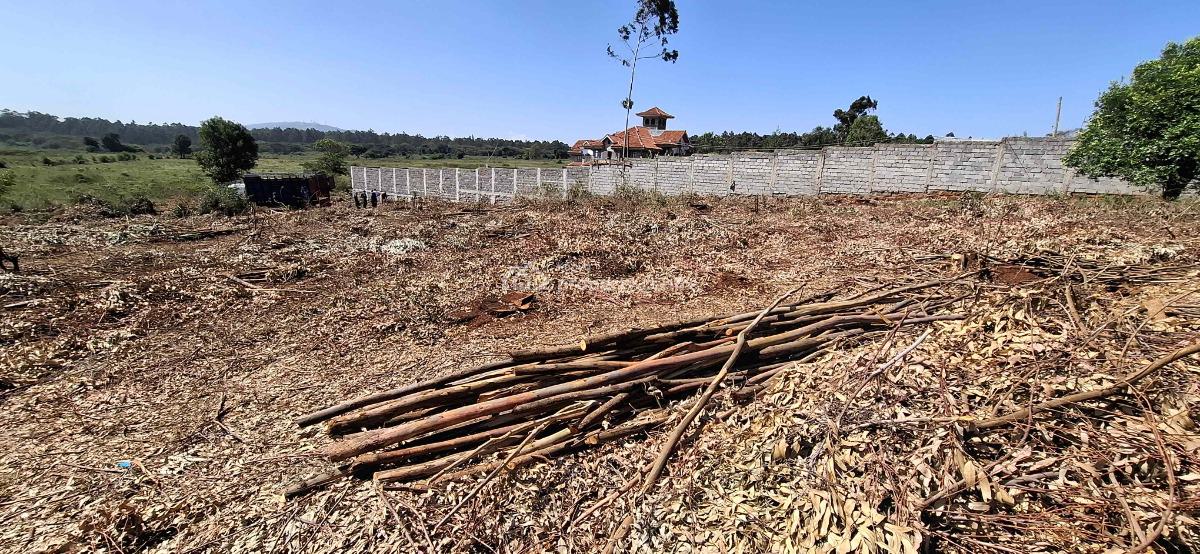 Exclusive 100 X 100 Residential Plots, Kerarapon Drive, Ngong, Kajiado, Residential Land for Sale