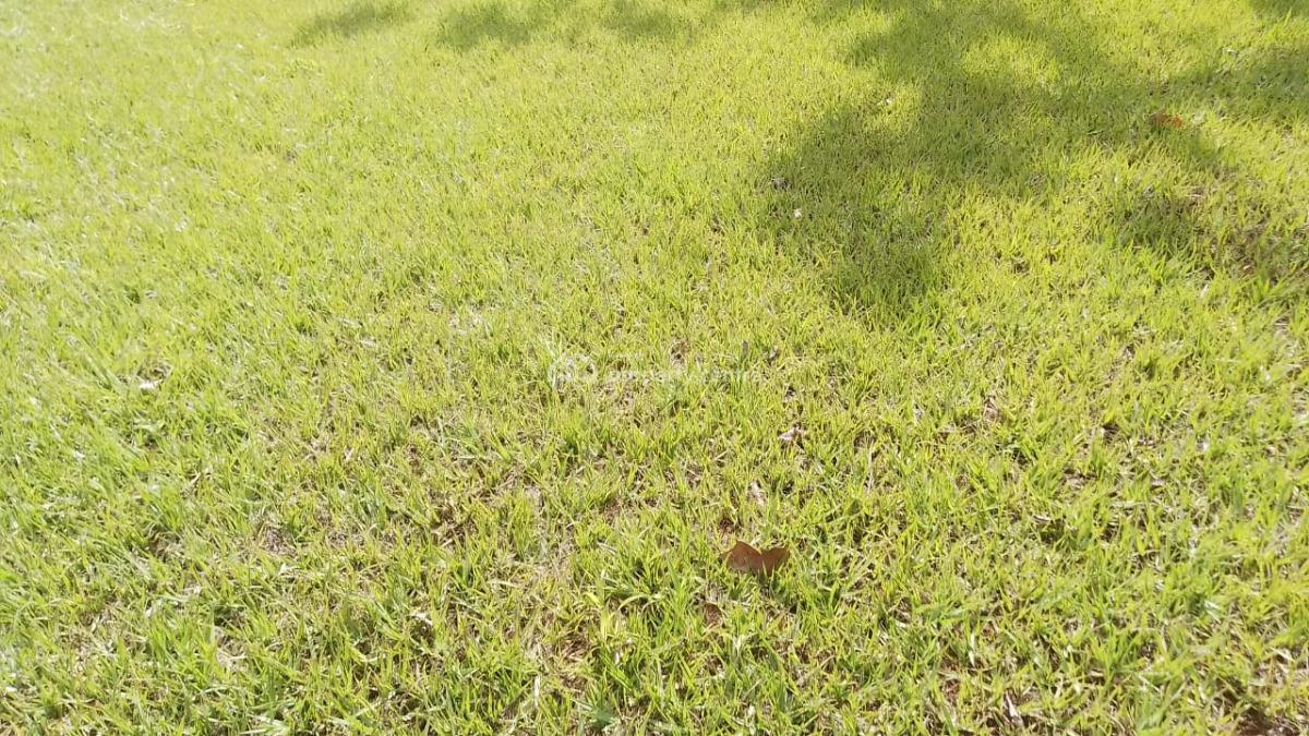 5 Bedroom House, Karen, Nairobi, Townhouse for Rent