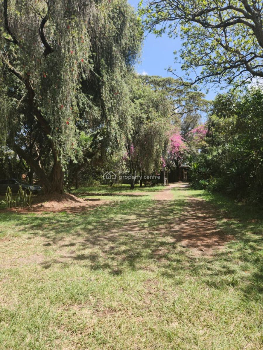 Cozy 3 Bedroom Master Ensuite Bungalow, Bogani, Karen, Nairobi, Detached Bungalow for Rent