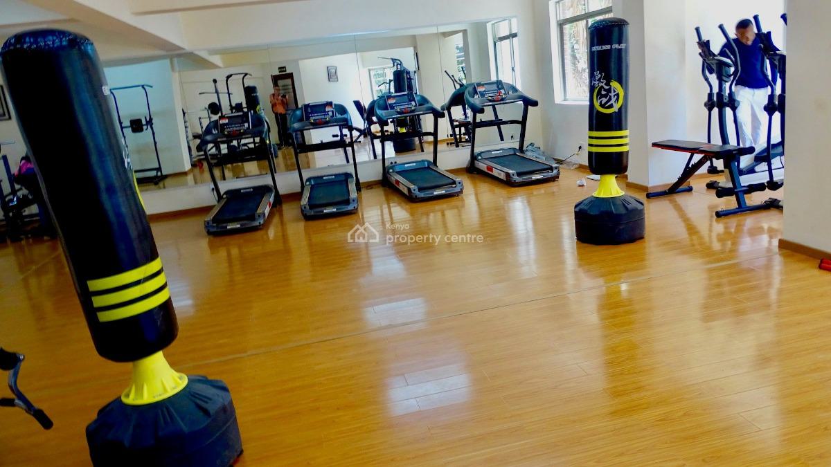 Fully Furnished 3 Bedroom Penthouse Apartment, Argwings Kodhek Road, Lavington, Nairobi, Apartment for Rent