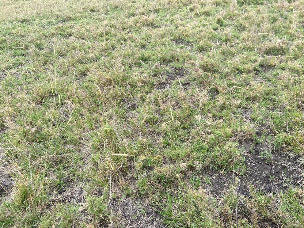 Residential Plot with a Ready Title Deed, Maasai Ostrich Farm Kitengela, Kitengela, Kajiado, Residential Land for Sale