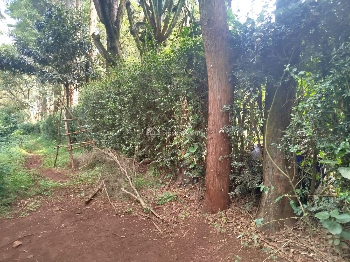 Prime 1-acre Land  with Red Soil and Ready Title Deed, Windyridge, Karen, Nairobi, Land for Sale