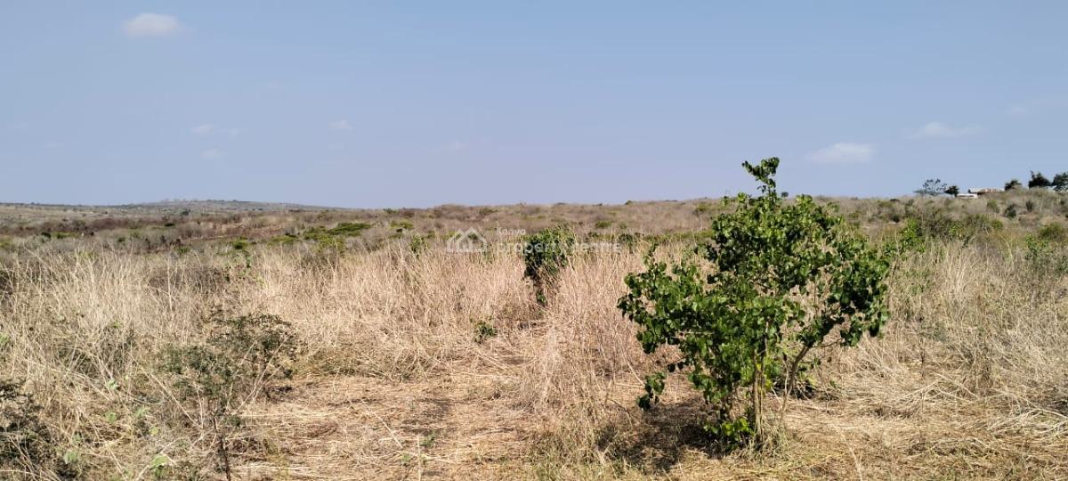Prime 10-acre Developed Agricultural Land, Shomela, Magarini, Malindi Town, Kilifi, Mixed-use Land for Sale