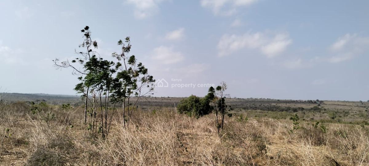 Prime 10-acre Developed Agricultural Land, Shomela, Magarini, Malindi Town, Kilifi, Mixed-use Land for Sale