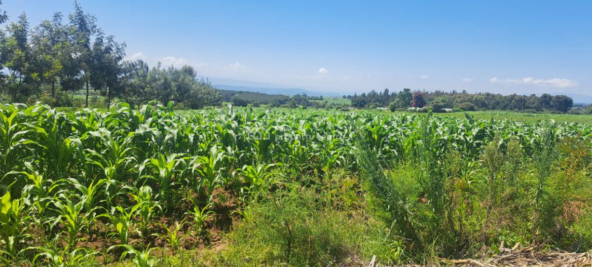 Prime Land, Njoro Nakuru Highway, Njoro, Nakuru, Mixed-use Land for Sale