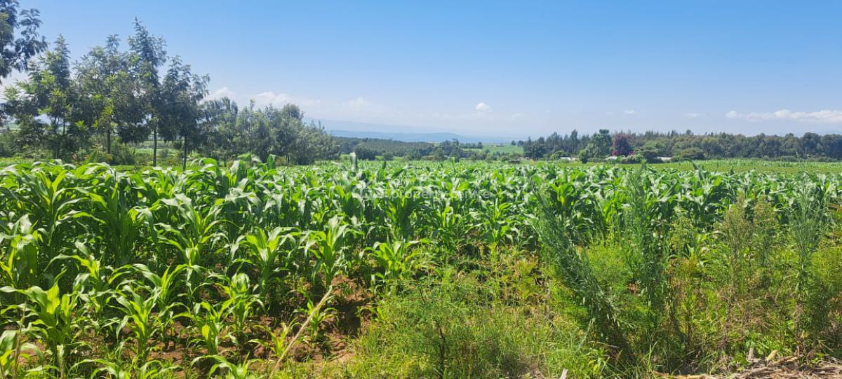 Prime Land, Njoro Nakuru Highway, Njoro, Nakuru, Mixed-use Land for Sale