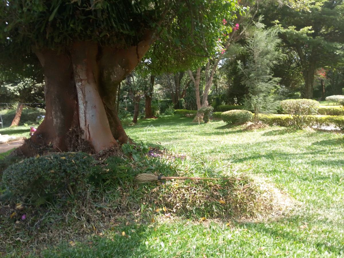 4 Bedroom House, Karen, Karen, Nairobi, Townhouse for Rent