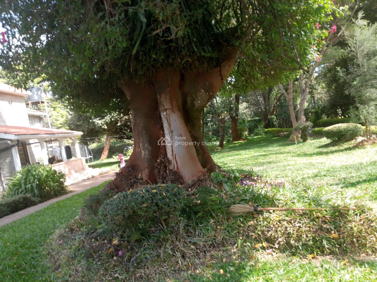 4 Bedroom House, Karen, Karen, Nairobi, Townhouse for Rent