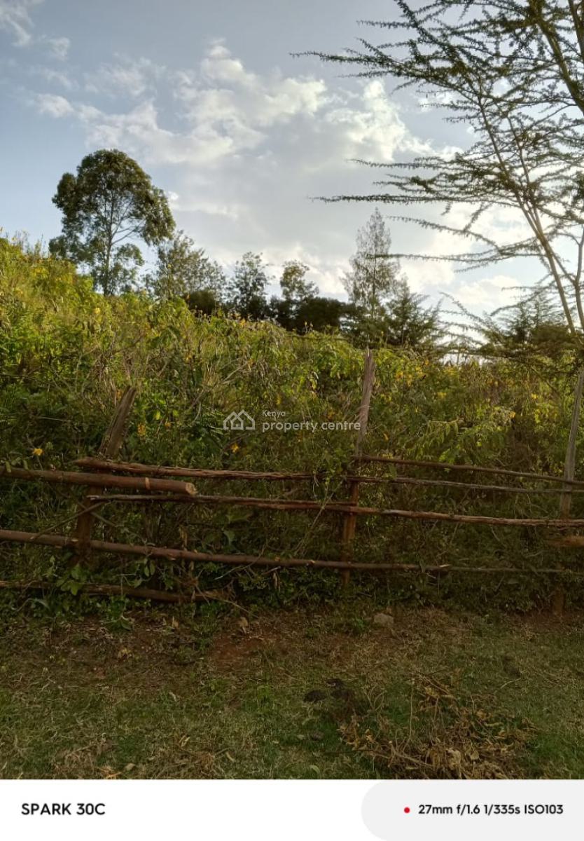 Prime Land for Development, Nanyuki Near Nanyuki Boys Highschool, Nanyuki, Laikipia, Mixed-use Land for Sale