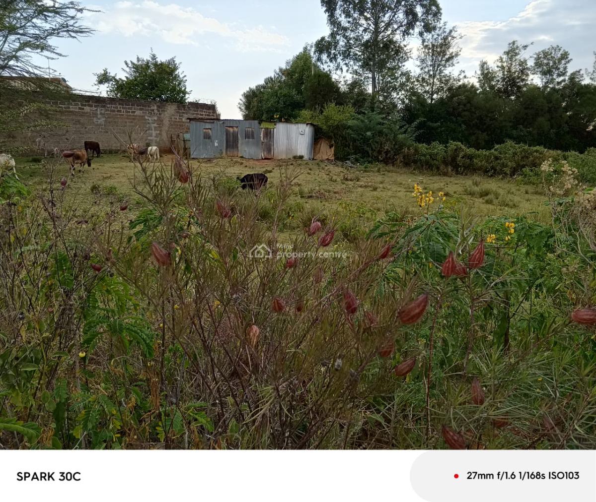 Prime Land for Development, Nanyuki Near Nanyuki Boys Highschool, Nanyuki, Laikipia, Mixed-use Land for Sale