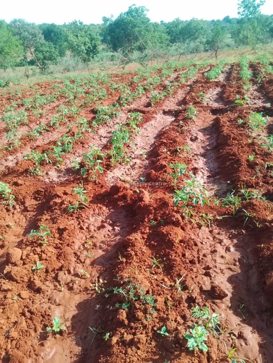 Prime Farming Land, Makutano Mwea, Mwea, Embu, Mixed-use Land for Sale